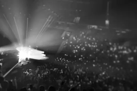 Monsieur — photo 5