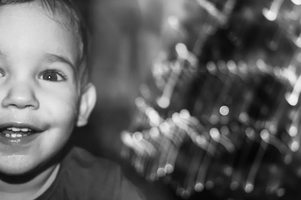 LL Évents By Mélissa — photo 7