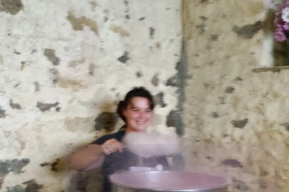 Pamela Animations — photo 2