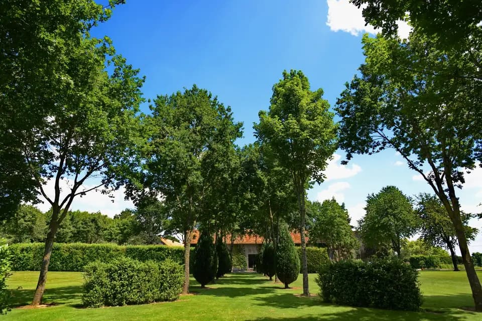 Domaine du Golf — photo 2