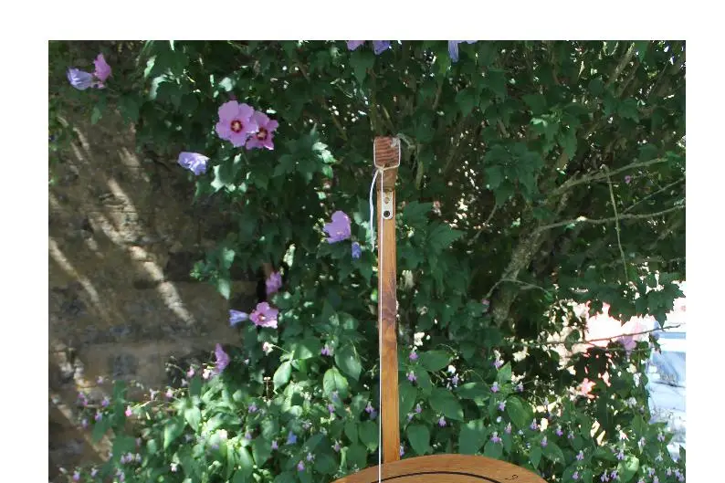 Pamela Animations — photo 7