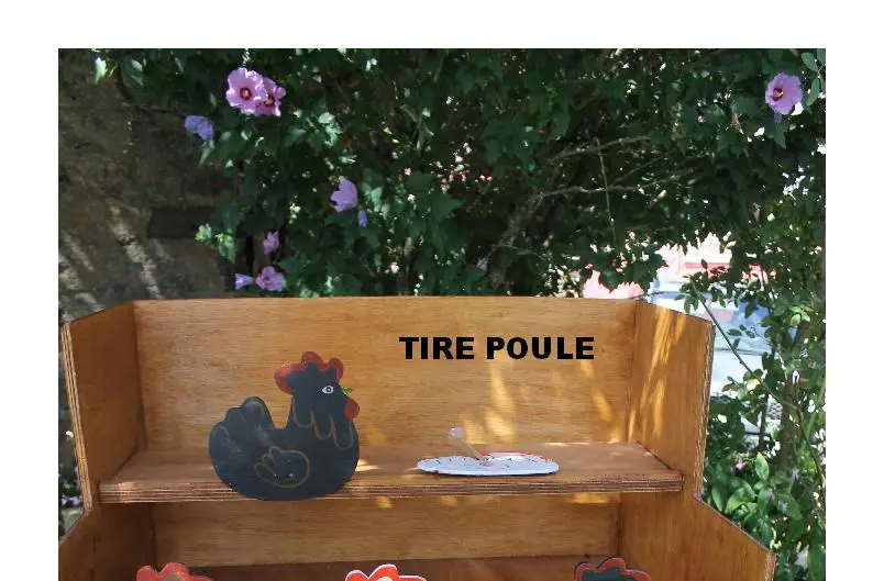 Pamela Animations — photo 8