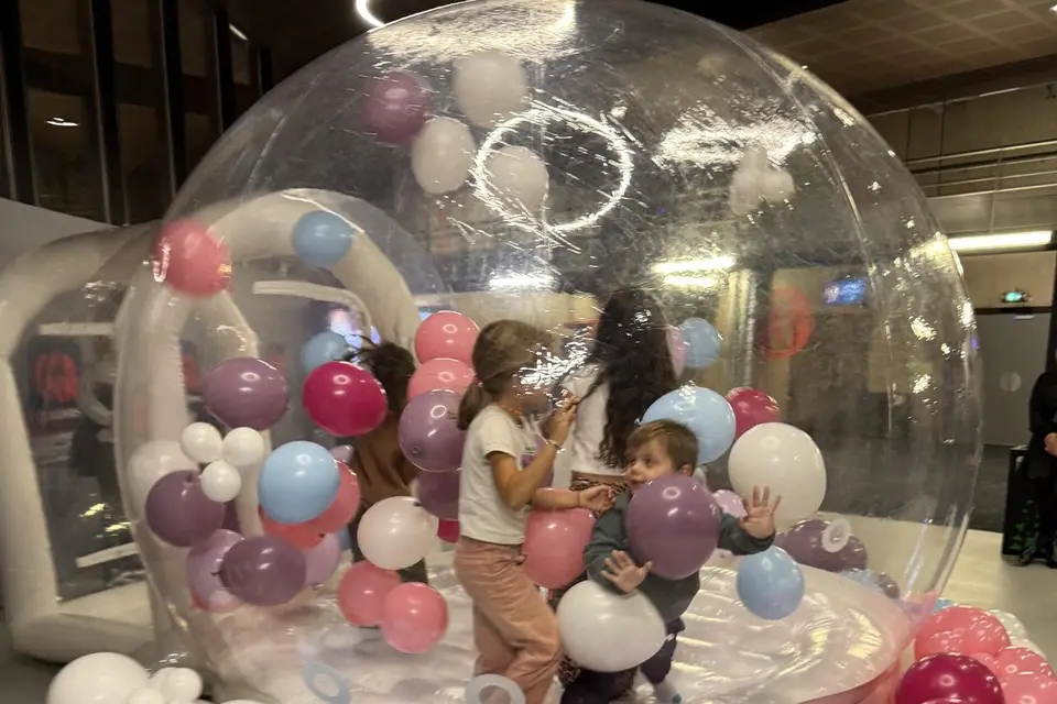 Dream Factory — photo 5