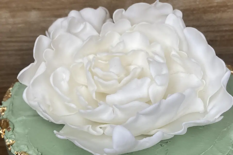 Biscuit Jo.conde — photo 1