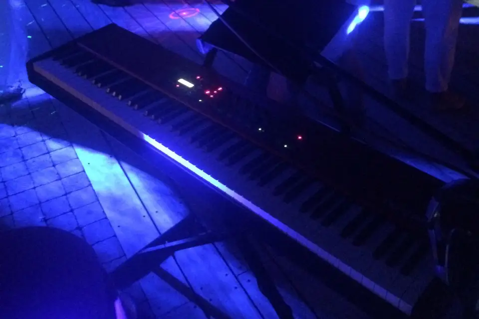 Niko & Co — photo 5