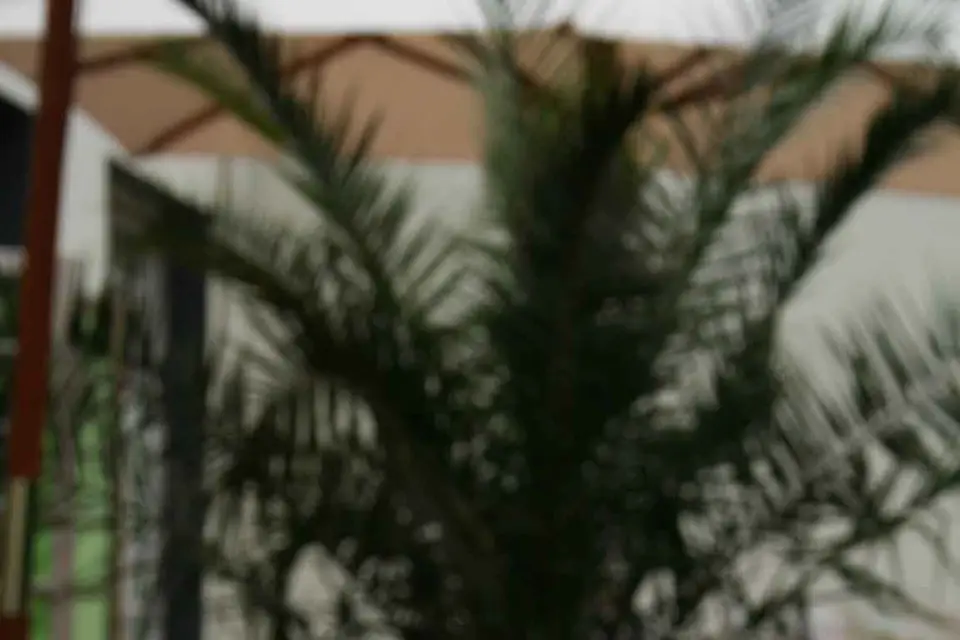 La Suite 305 — photo 5