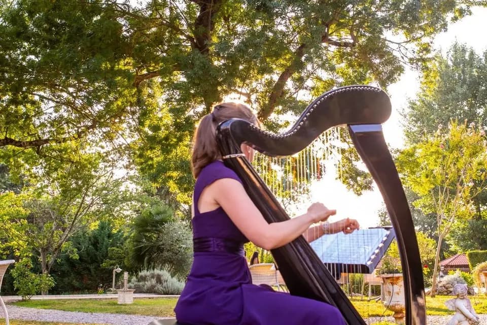 Marion Pollet -Harpiste — photo 2