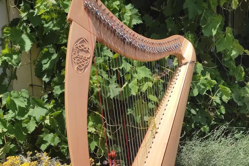 Marion Pollet -Harpiste — photo 3