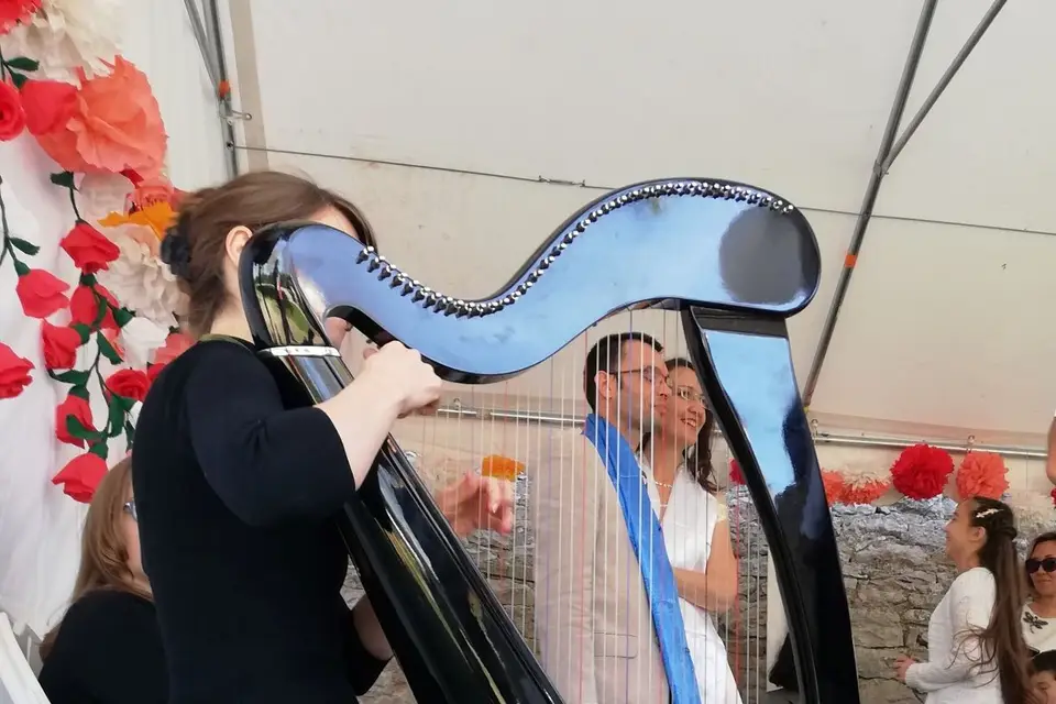 Marion Pollet -Harpiste — photo 6