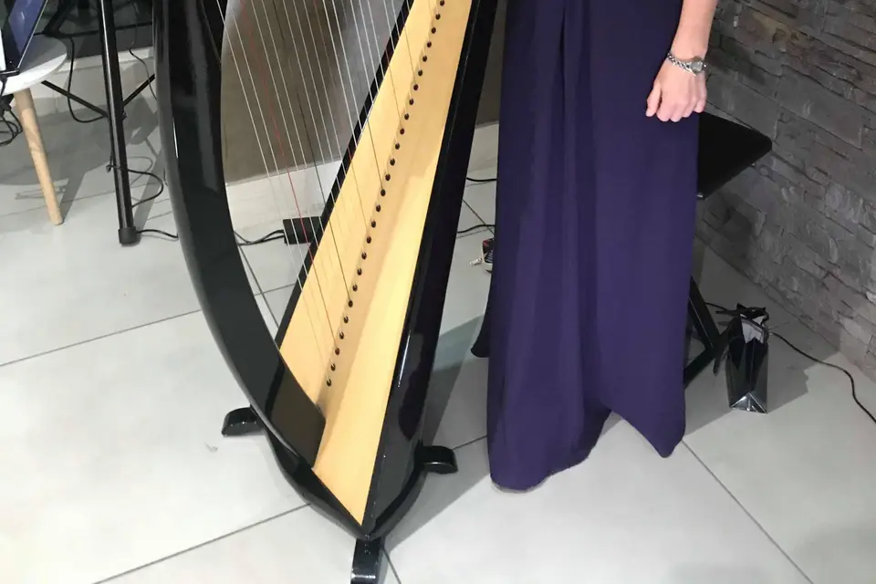 Marion Pollet -Harpiste — photo 8