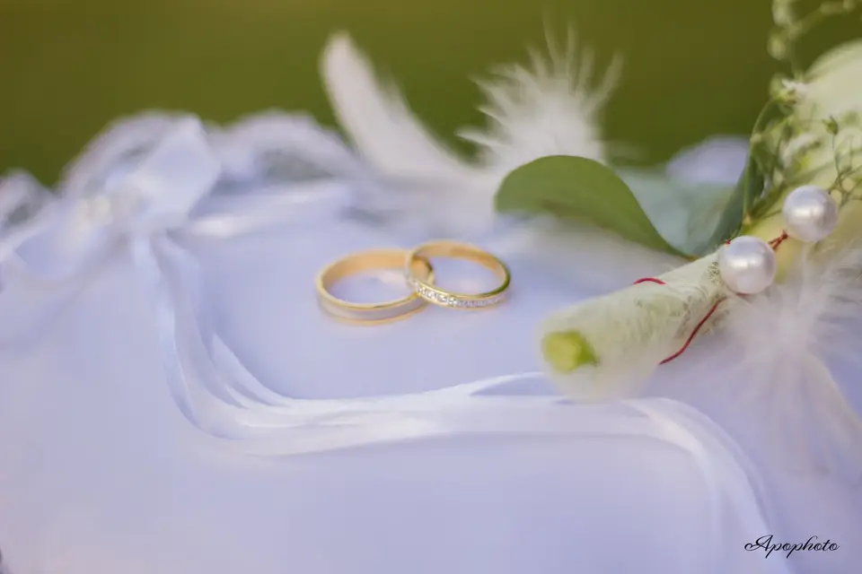 Apophoto — photo 1