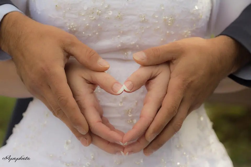 Apophoto — photo 2