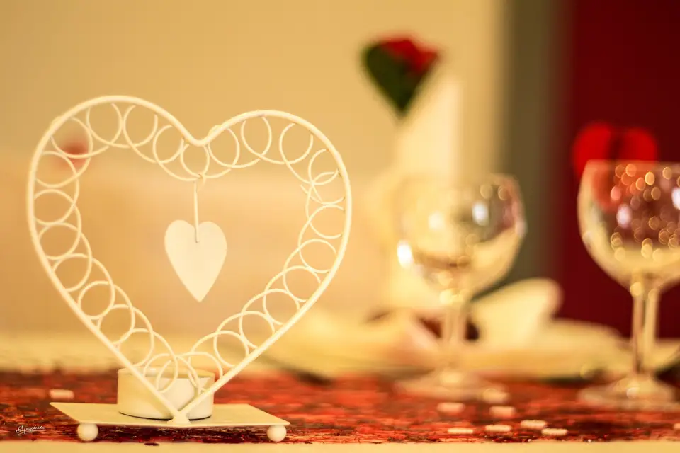 Apophoto — photo 4