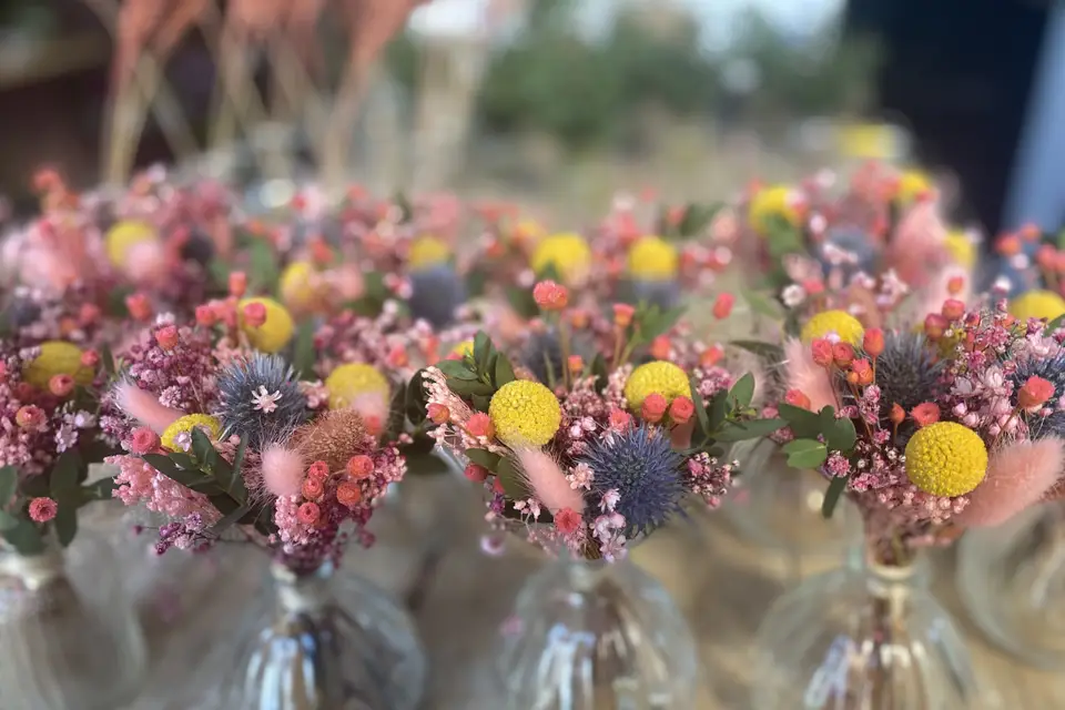 Bois de Rose — photo 1