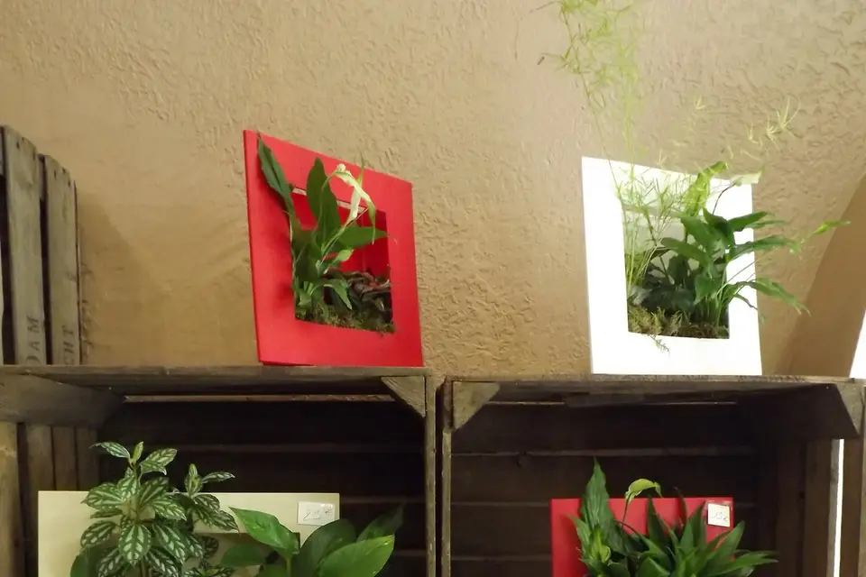 Fleurs de thé...Rêves Décoration — photo 7