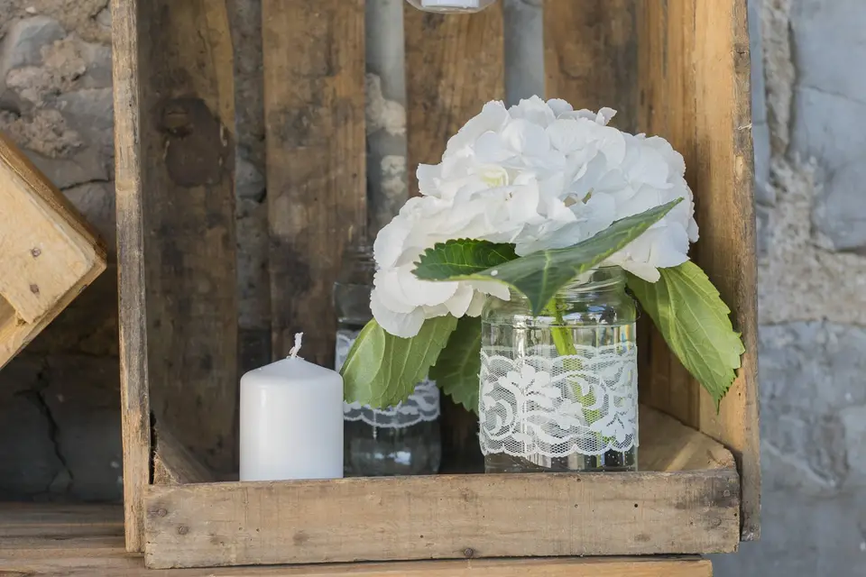 YouLiveWeShoot — photo 2