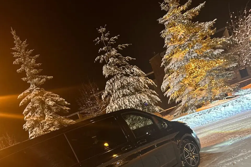 DV Transport — photo 5