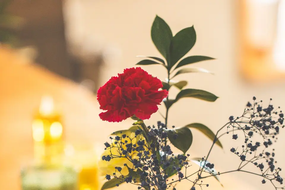 Le Trapéen — photo 2