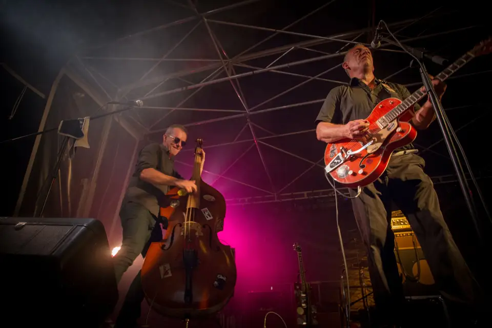 Gator Gumbo — photo 2