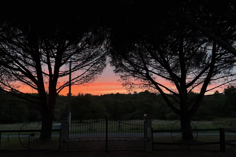 Domaine de La Nouillière — photo 2