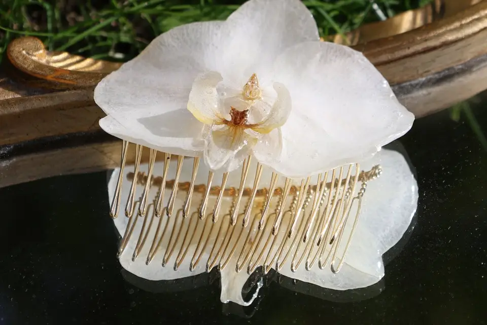 Les Fleurs de Chou — photo 2