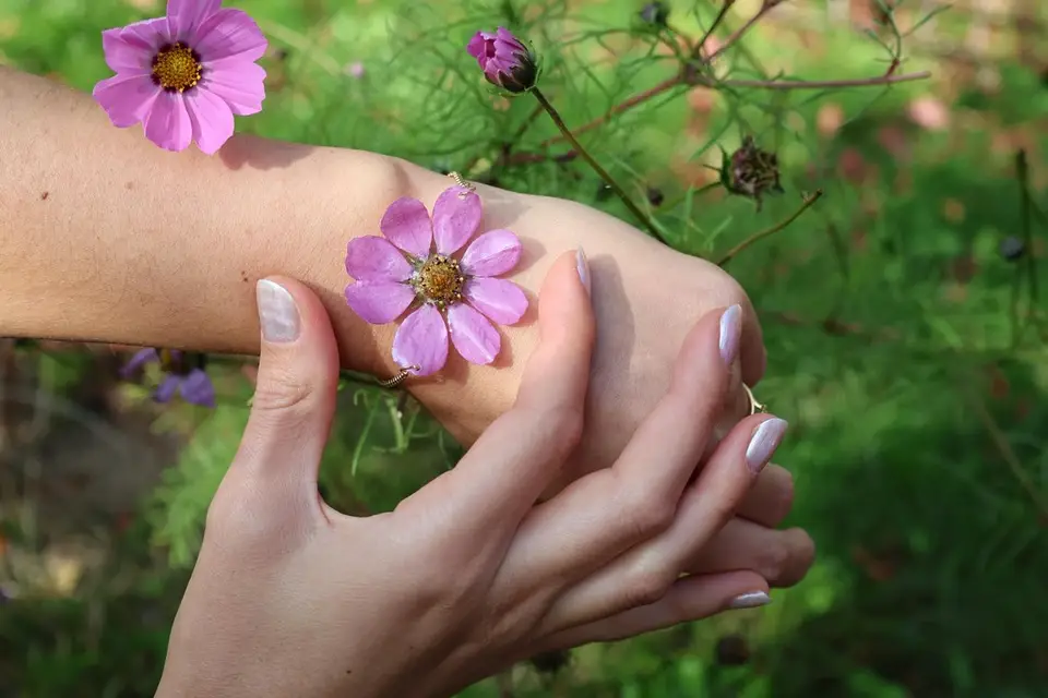 Les Fleurs de Chou — photo 8
