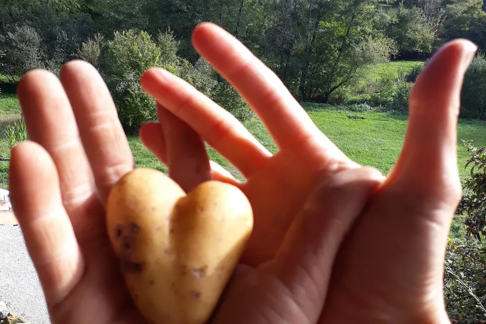 La Table de Gaya — photo 5