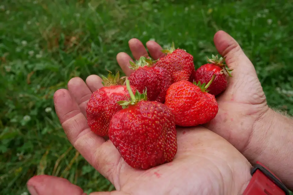 La Table de Gaya — photo 1