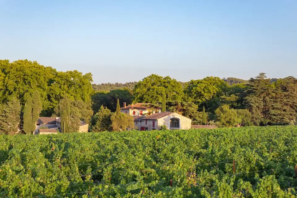 Château de Vauclaire — photo 6