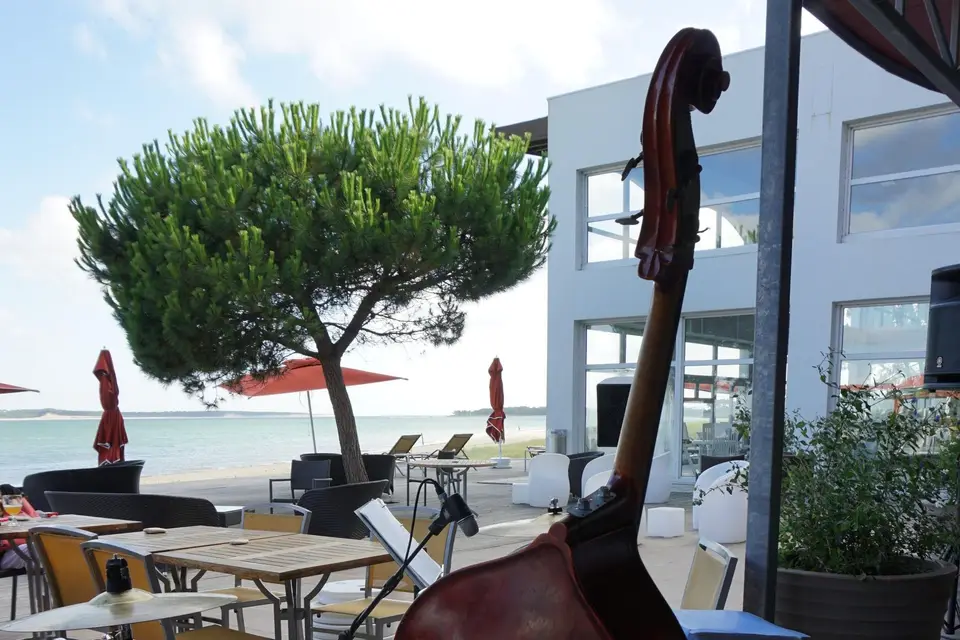 Fred Swing — photo 7