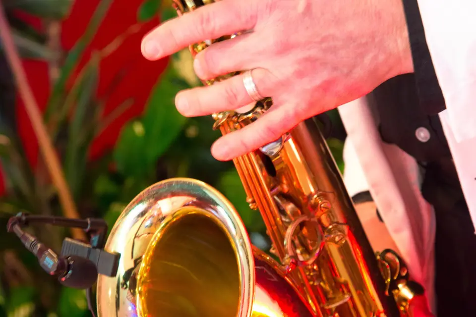 Fred Swing — photo 8