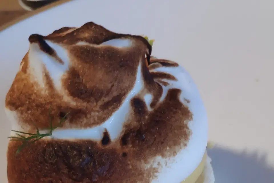 P'tit Canari — photo 5