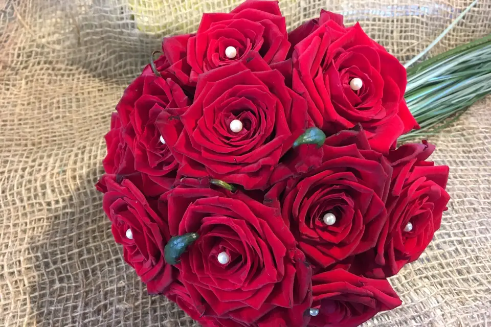 Manon des Lys — photo 2