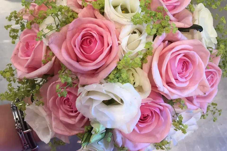 Manon des Lys — photo 5