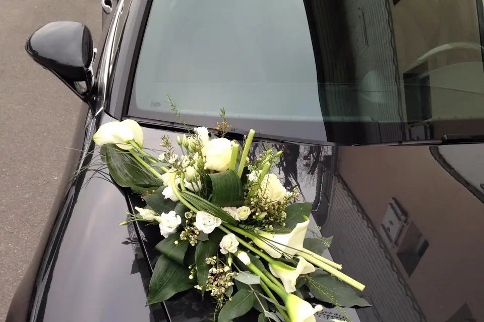 Manon des Lys — photo 8