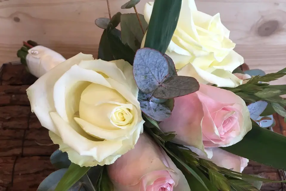 Manon des Lys — photo 6