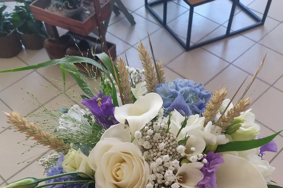 Le Jardin des Roses — photo 5