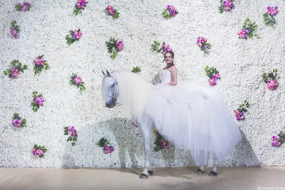 Le Manège de Tilly — photo 6