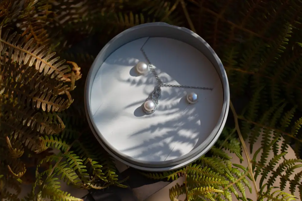 W Photographie — photo 6