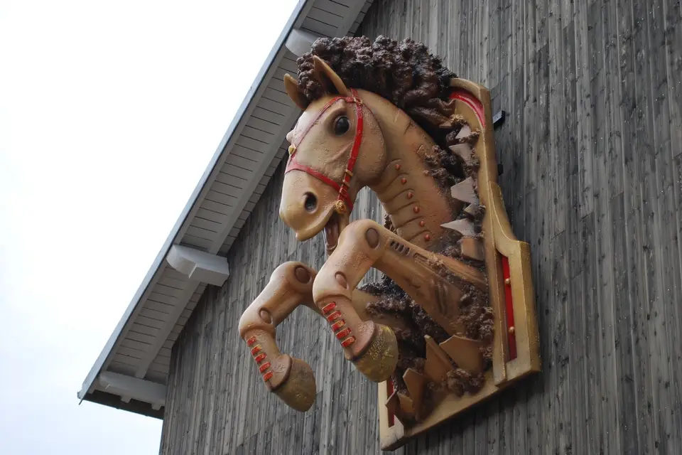 Le Manège de Tilly — photo 4