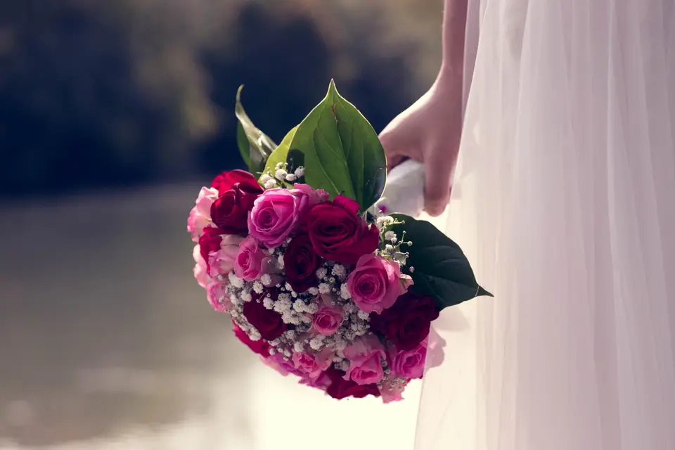 W Photographie — photo 2