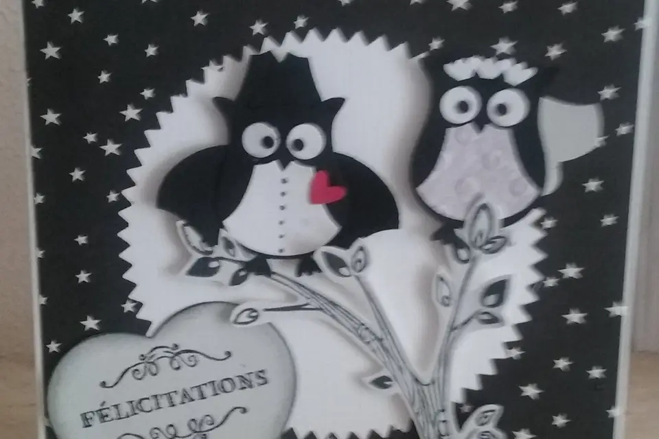 Laetitia Animation — photo 6