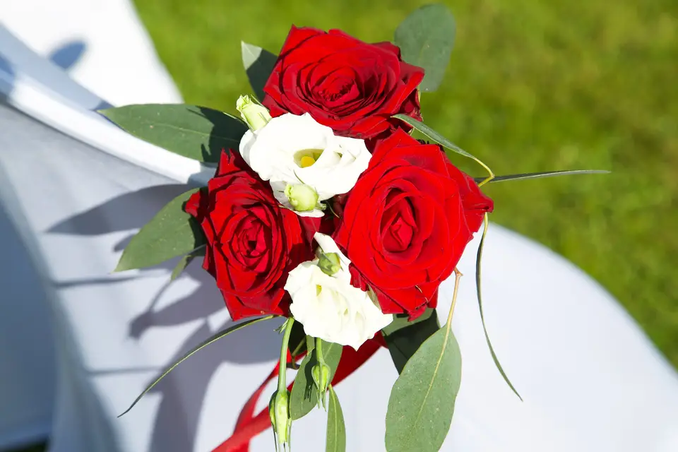 Kensa Photo — photo 2