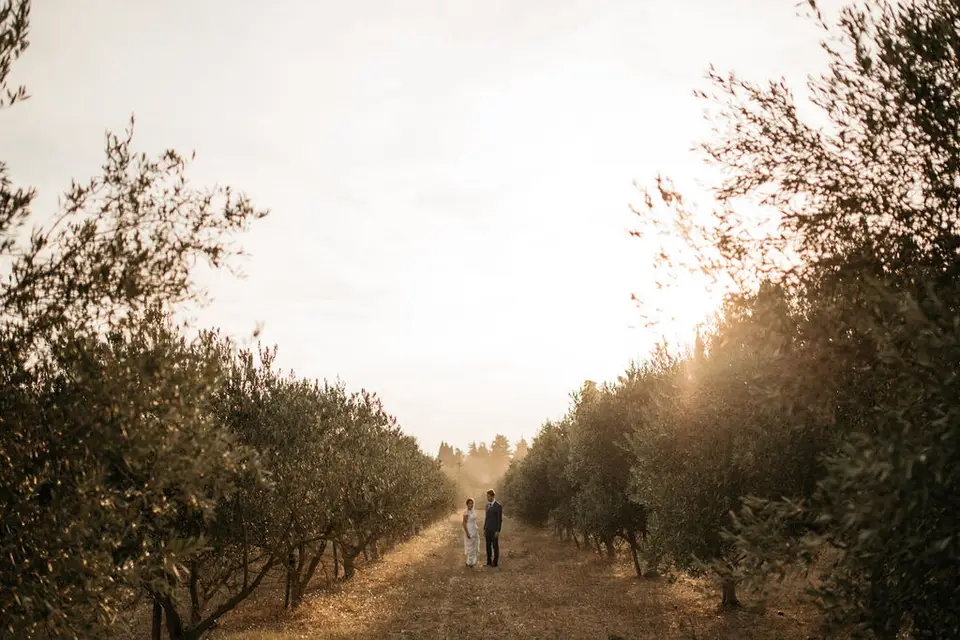 Mas d'Arvieux — photo 5