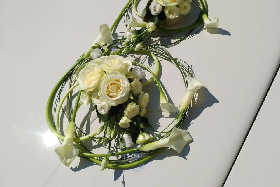 Couleur Nat'ure — photo 3