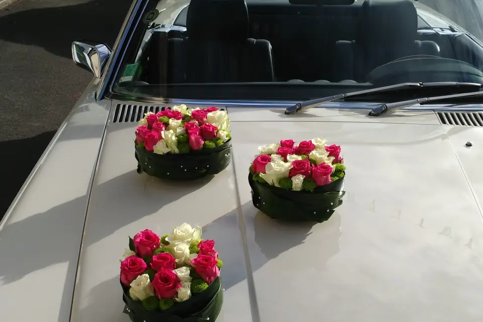 Couleur Nat'ure — photo 7