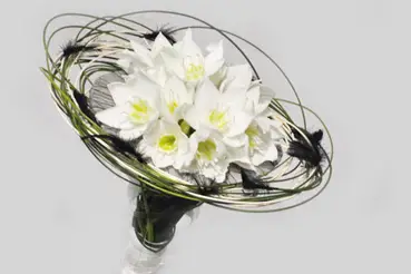 Couleur Nat'ure — photo 1