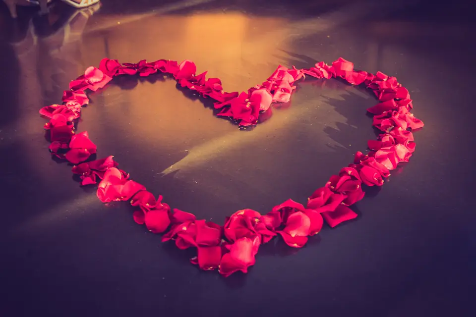 C'est ma nature... — photo 6