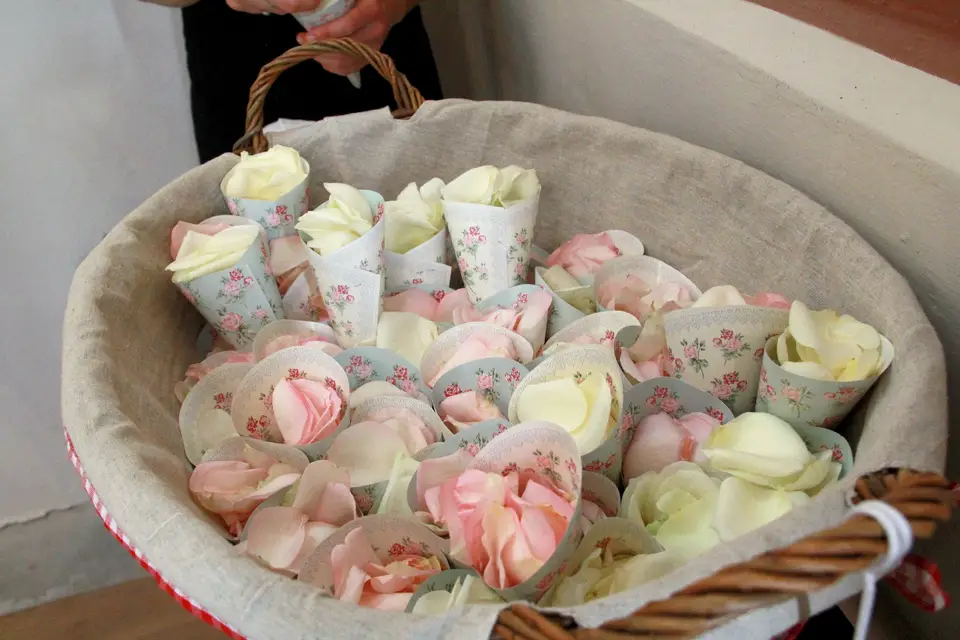 C'est ma nature... — photo 7