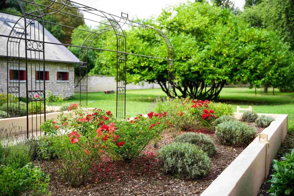 Domaine des 3 voyages — photo 6